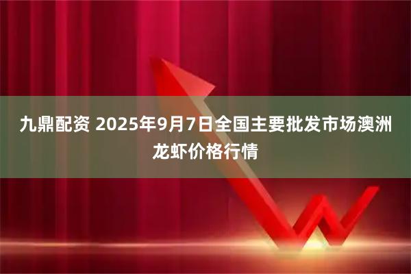 九鼎配资 2025年9月7日全国主要批发市场澳洲龙虾价格行情